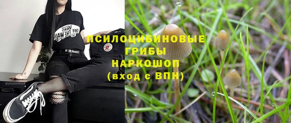 эйфоретик Нефтекумск