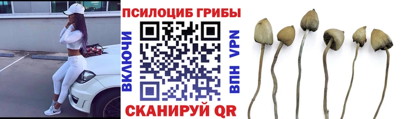 Галлюциногенные грибы Magic Shrooms  Краснослободск 